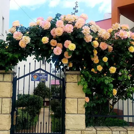 Vila Ambient Frontal La Mare Villa *