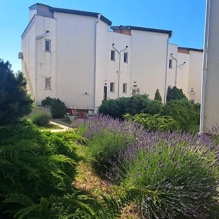 Vila Ambient Frontal La Mare Villa *